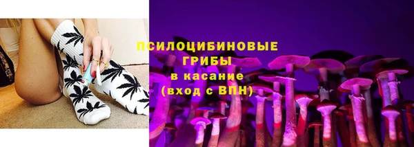 ГАЛЛЮЦИНОГЕННЫЕ ГРИБЫ Абинск