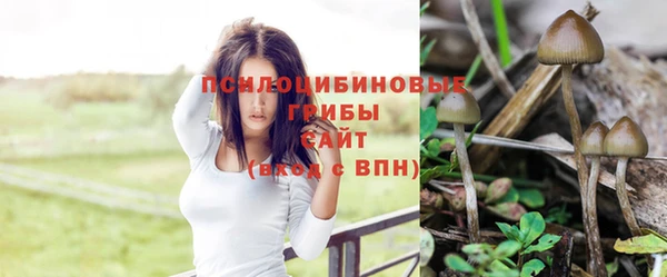 стаф Абаза